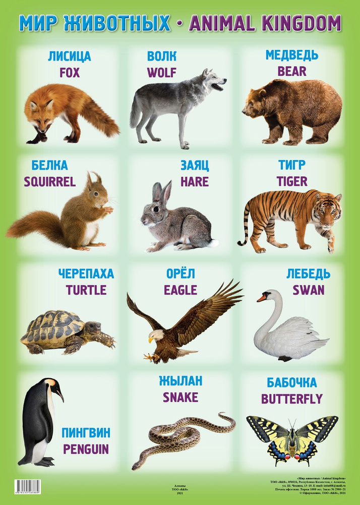 А 2 Плакат. Мир животных/Animal kingdom #1