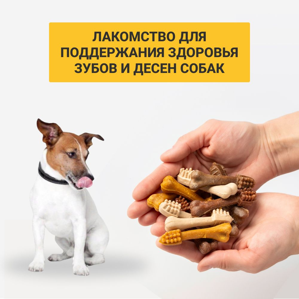 Лакомство для собак, для чистки зубов, удаления и профилактики зубного камня и налета у щенков и взрослых #1