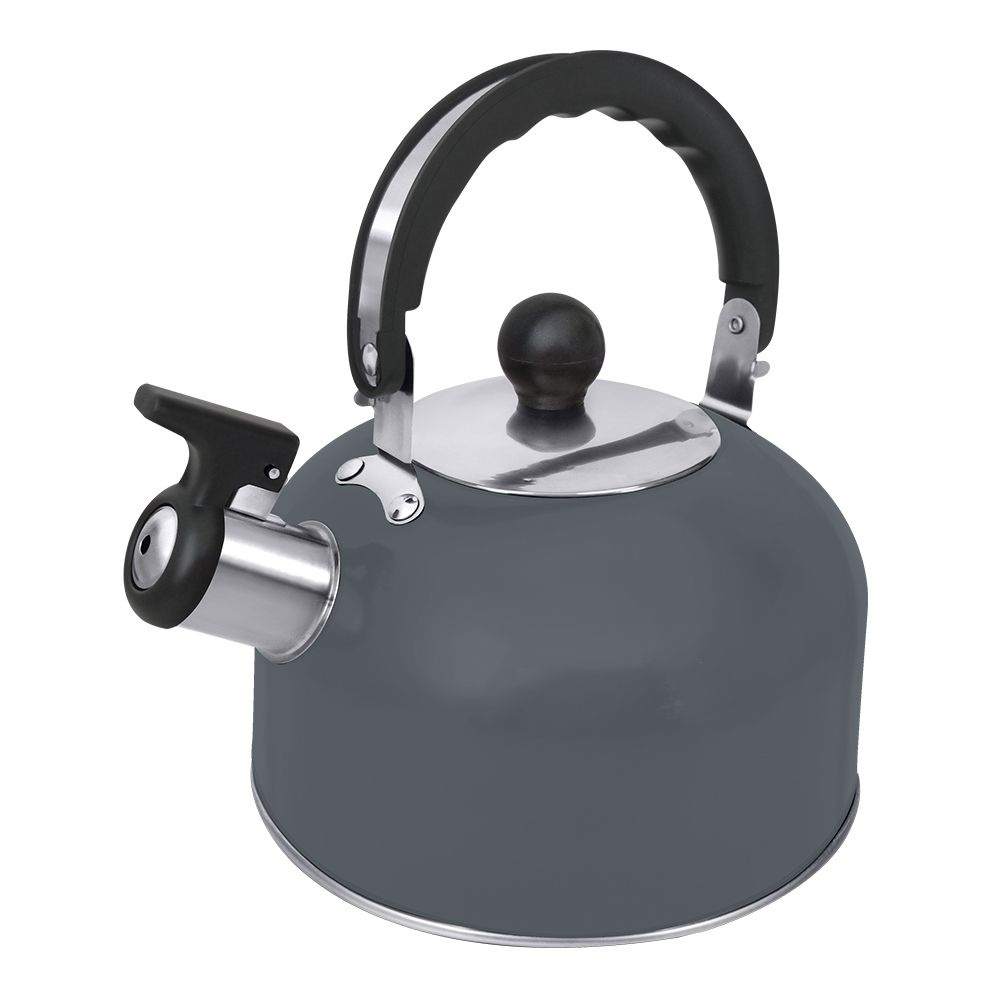 Чайник со свистком HOME ELEMENT HE-WK1603B, темно-серый матовый #1