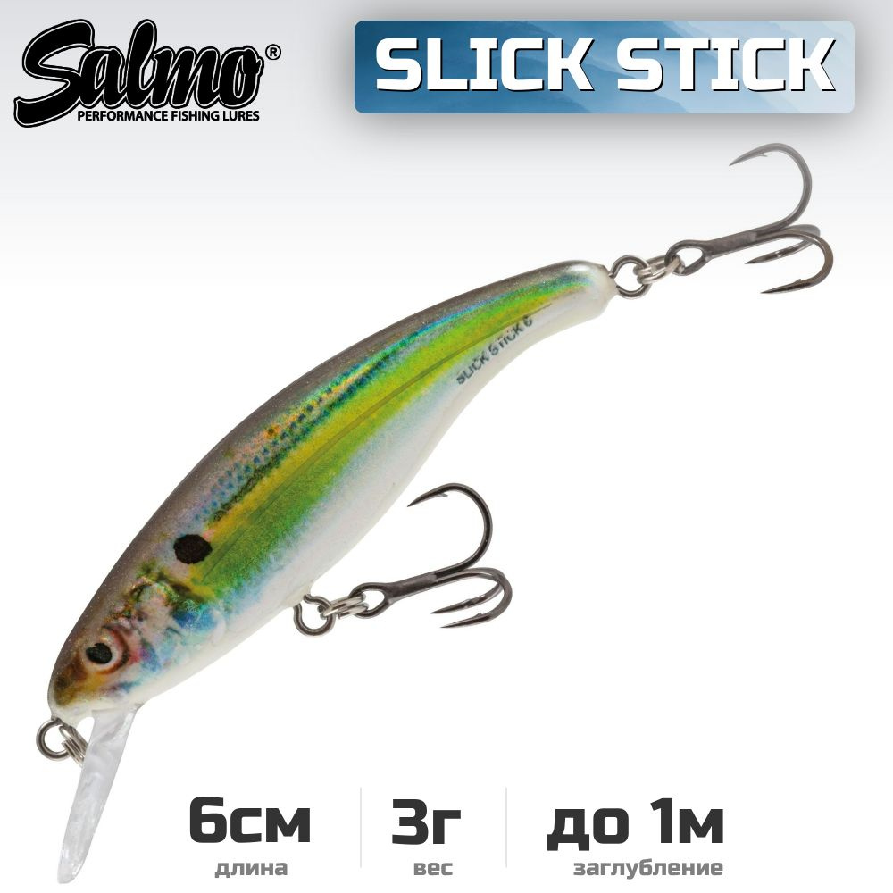 Воблер плавающий Salmo Slick Stick 6 см, цвет RH #1