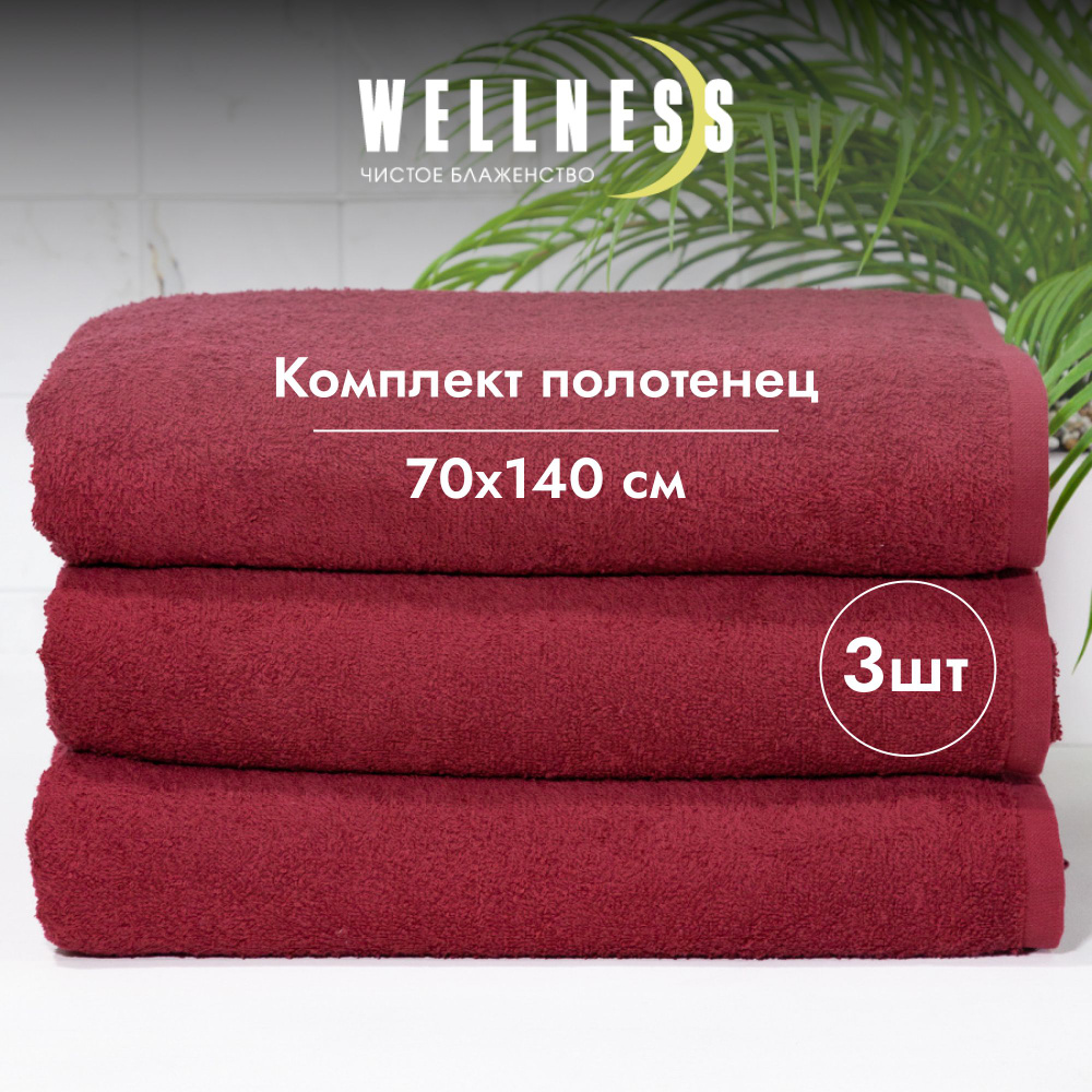 Полотенце махровое тонкое 70х140 3 шт. банное Wellness #1