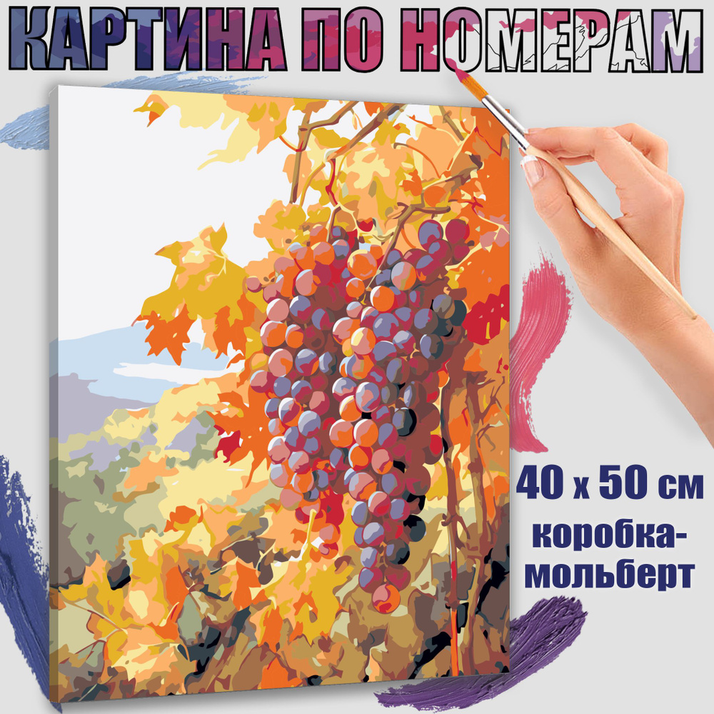 Картина по номерам 40x50 см. Виноград #1