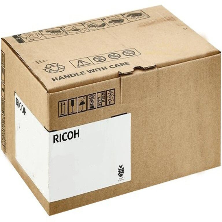 Фильтр поглощения запахов Ricoh (D1777945) #1