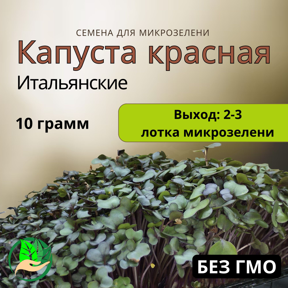 Семена капусты краснокочанной для проращивания микрозелени 10 гр  #1