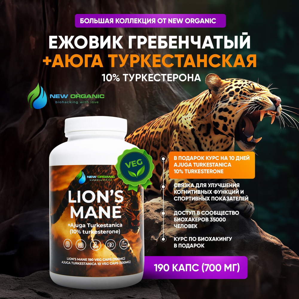 Ежовик Гребенчатый + Аюга. Комплекс добавок из природного ноотропа Lions mane (герициум) мицелий 190 #1