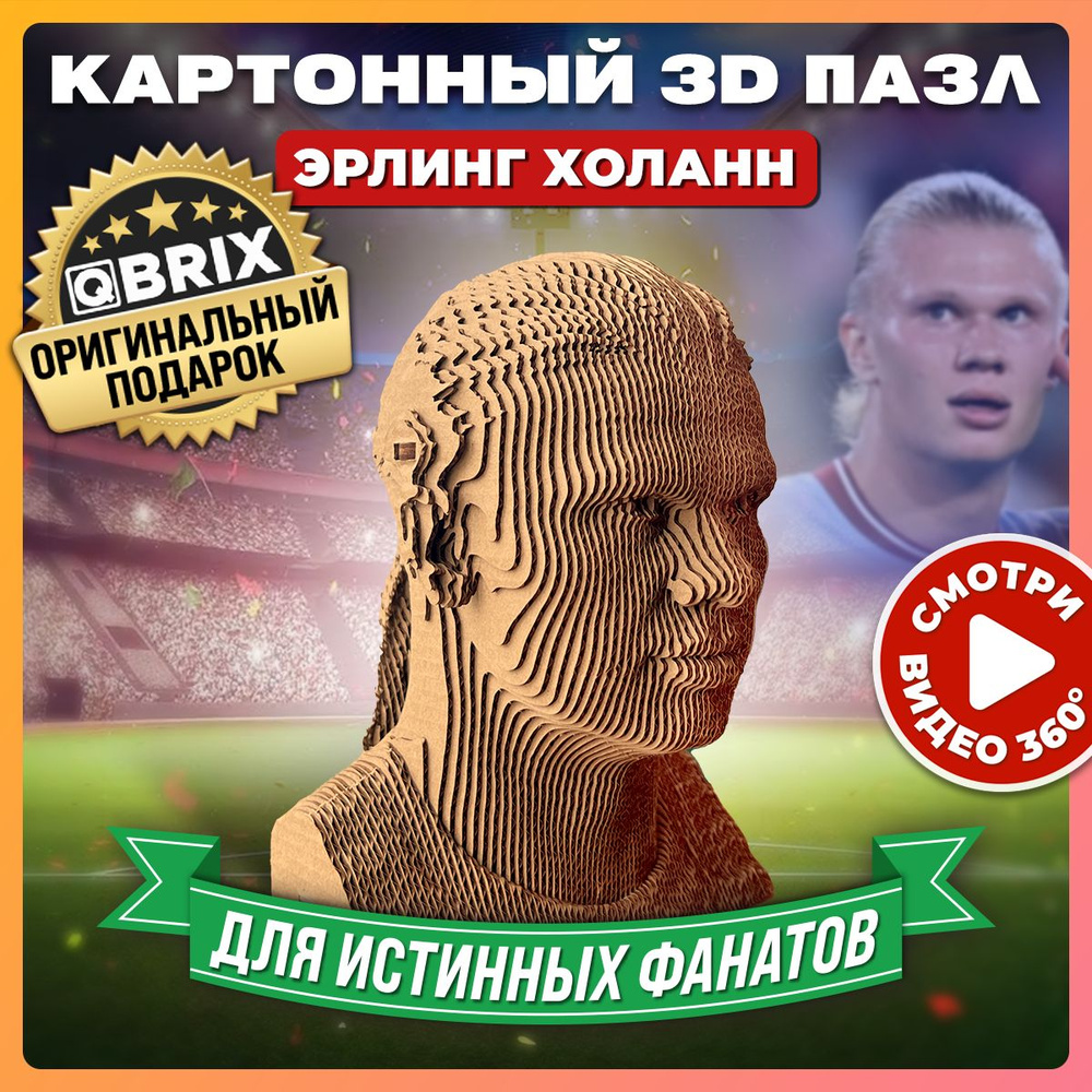 QBRIX Картонный 3D конструктор Эрлинг Холанн #1