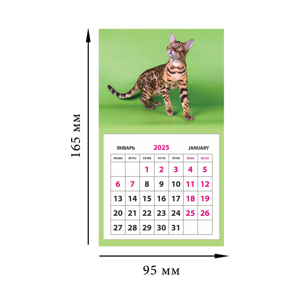 Календарь на магните отрывной (КР33) на 2025 год Кот #1