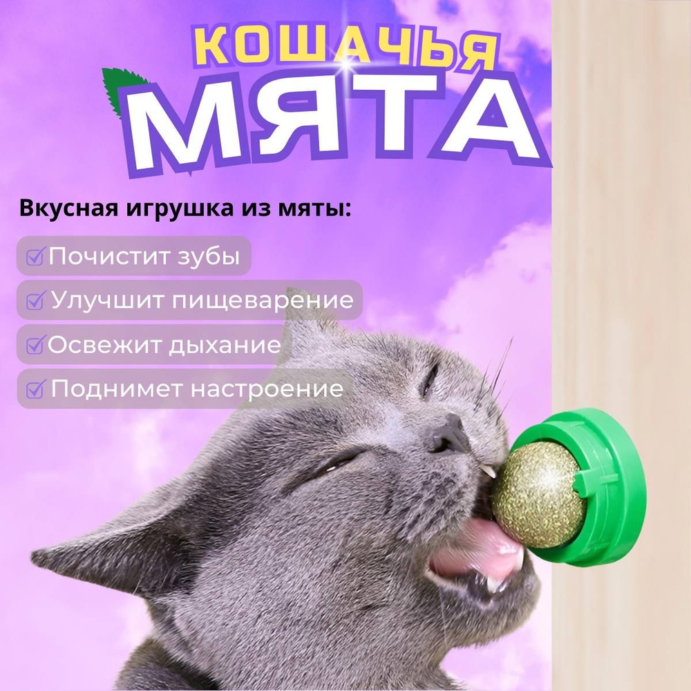 Кошачья мята шарик для кошек #1