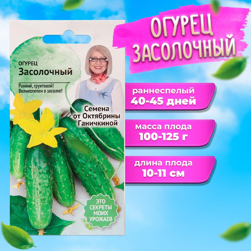 Огурец Засолочный 0,3 гр #1