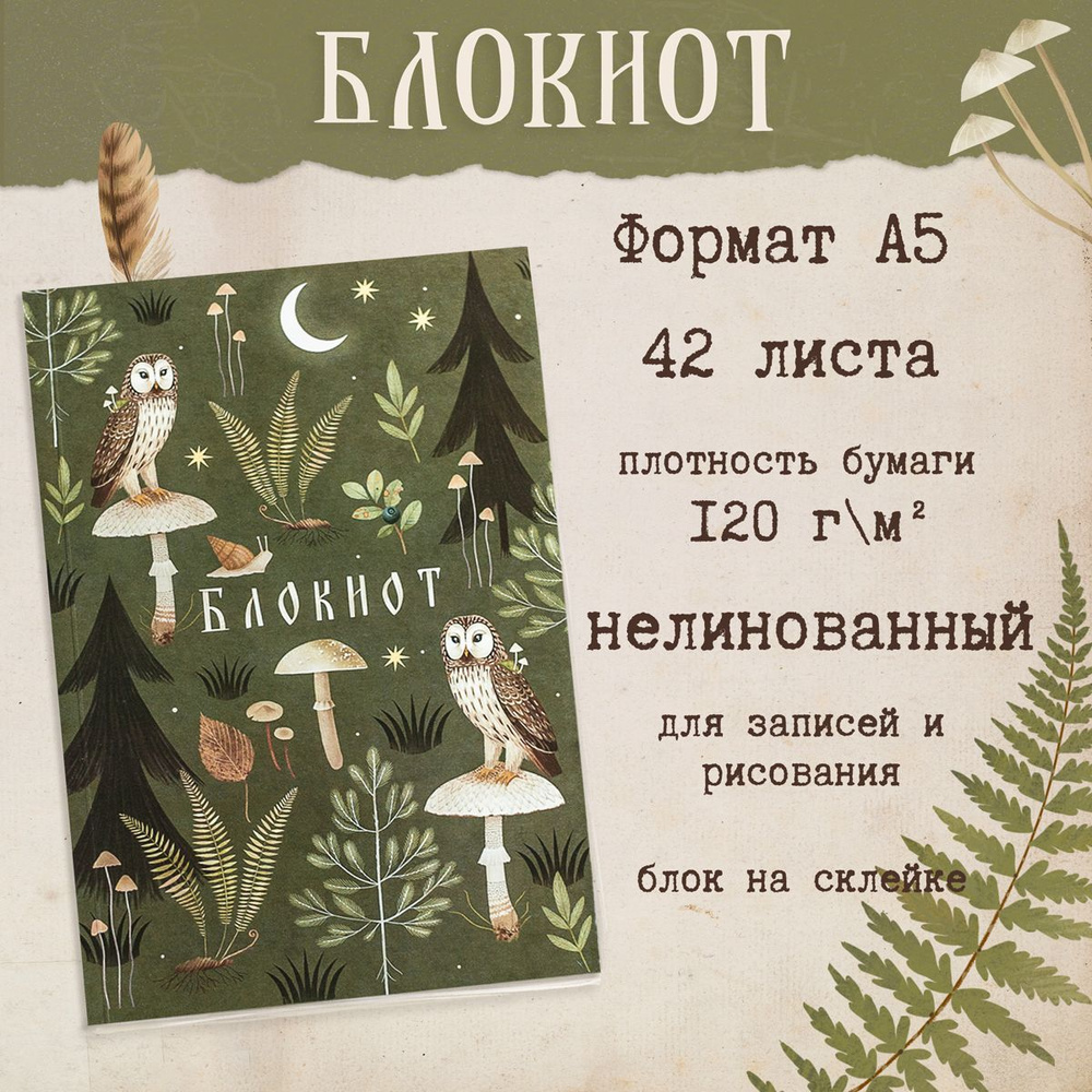 Блокнот PlantMyBones, скетчбук для рисования эскизов с матовой обложкой, "Совы на грибах"  #1