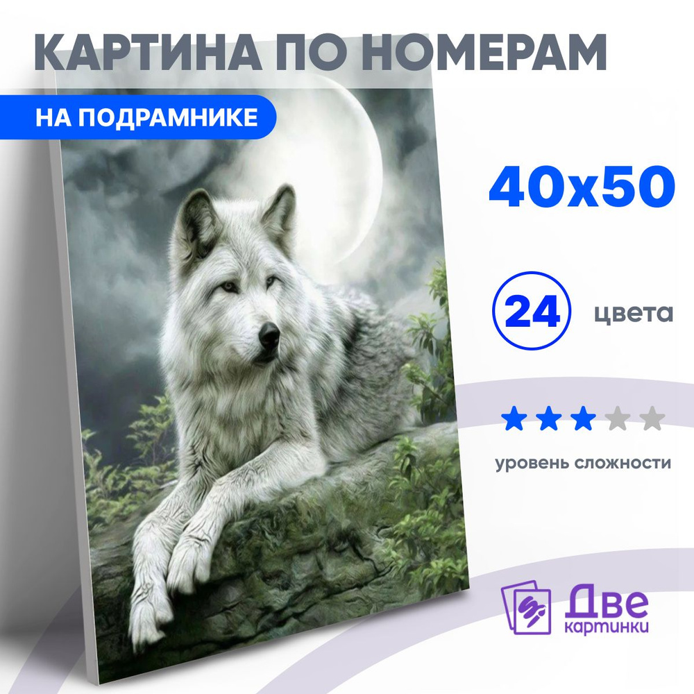 Картина по номерам на холсте 40х50 40 x 50 на подрамнике "Белый волк под луной" DVEKARTINKI  #1