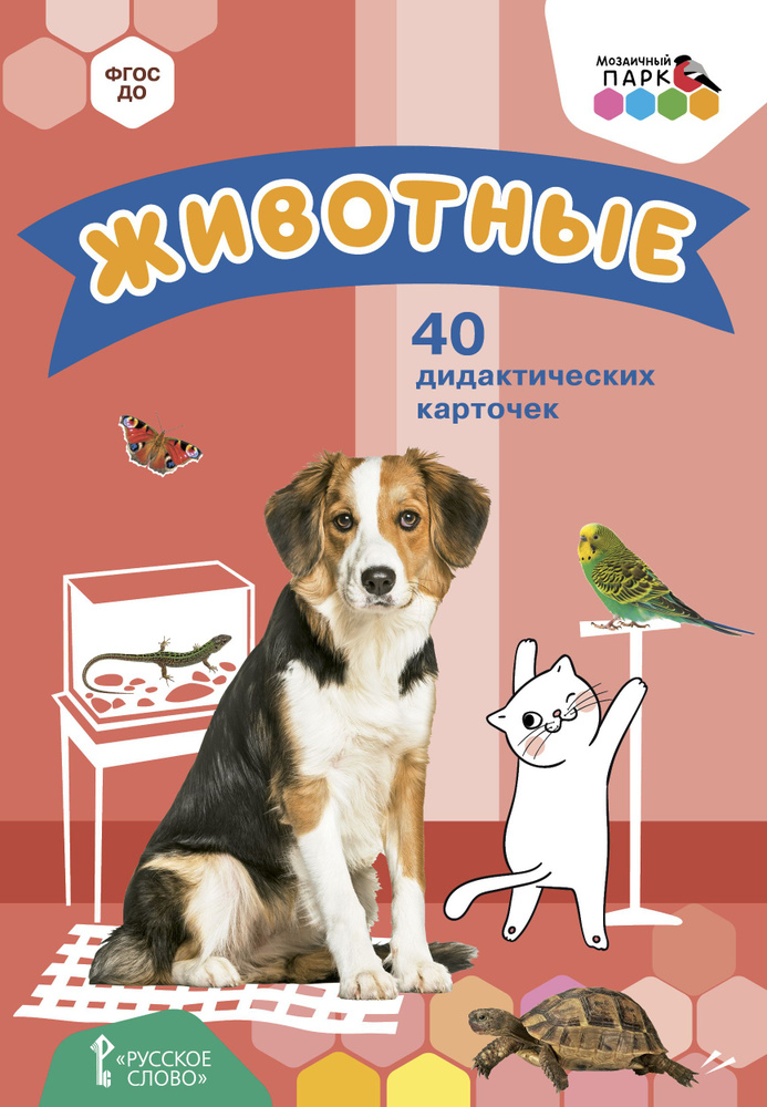 Животные. 40 дидактических карточек. #1