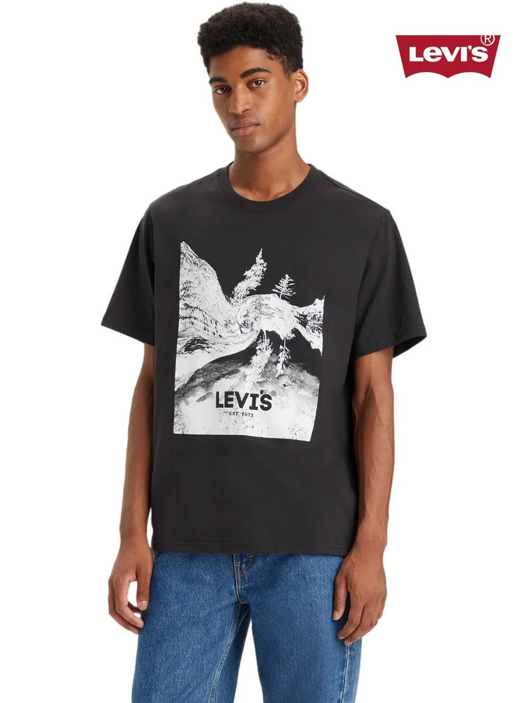 Футболка Levi's Relaxed Fit Graphic Tee #1