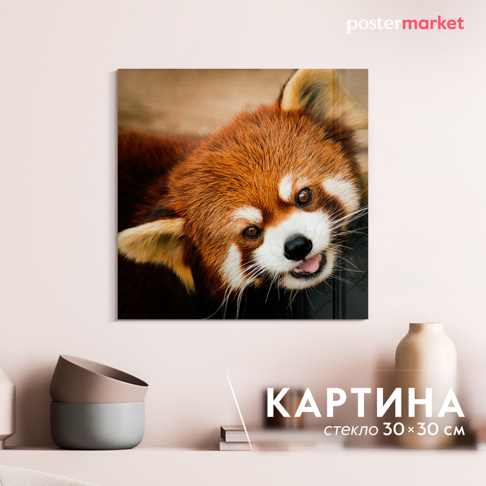 Картина на стекле Postermarket "Красная панда" 30х30 см #1