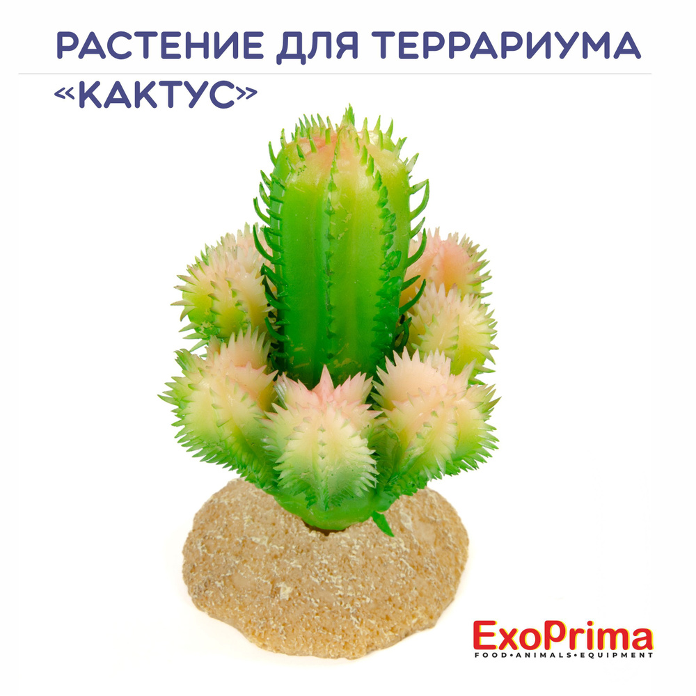 Растение для террариума EXOPRIMA "Кактус", светло-зелёное, 7х5х9см  #1