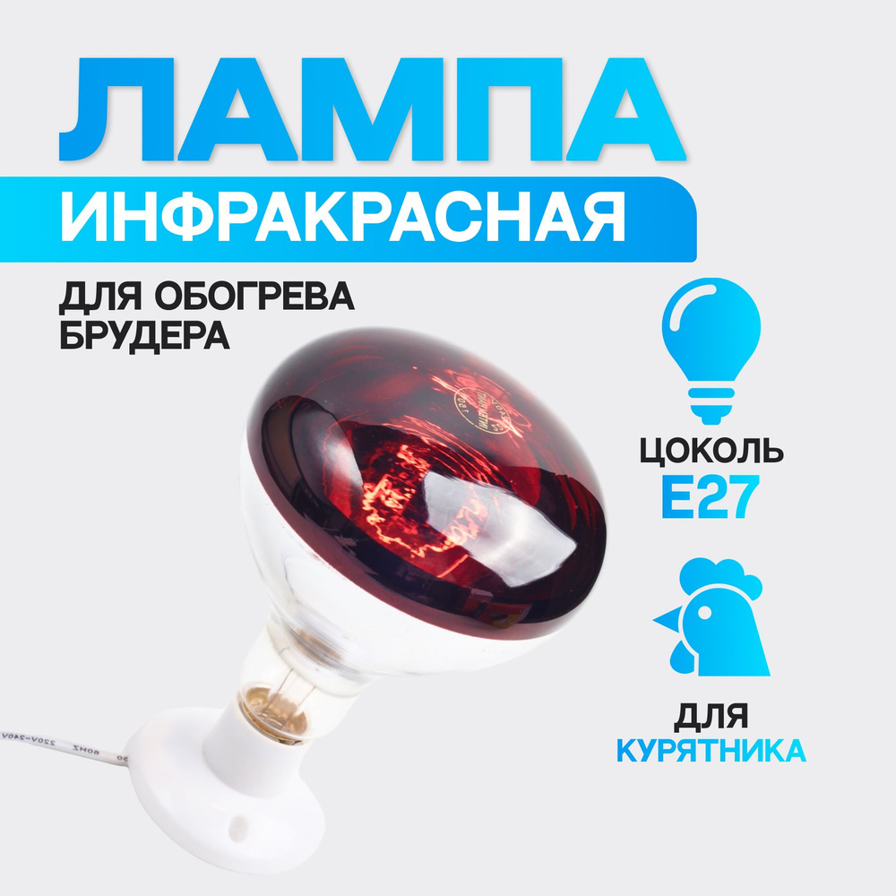 Инфракрасная лампа для обогрева птиц и животных, 150W 220V E27  #1