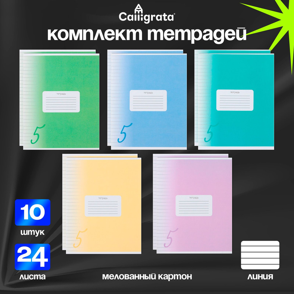 Комплект тетрадей из 10 штук, 24 листа в линейку "Пятерка", обложка мелованный картон, белые листы  #1