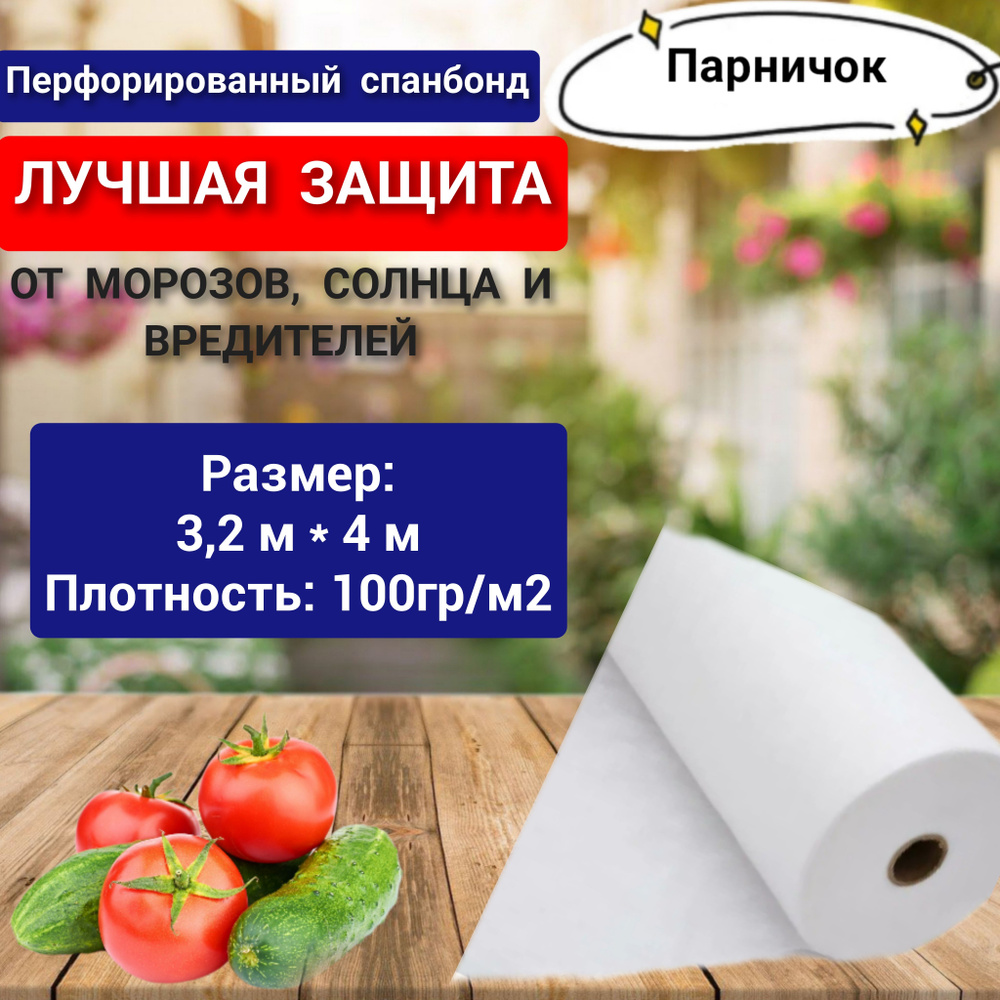 Парничок Укрывной материал Спанбонд, 3.2x4 м, 100 г-кв.м, 200 мкм, 1 шт  #1