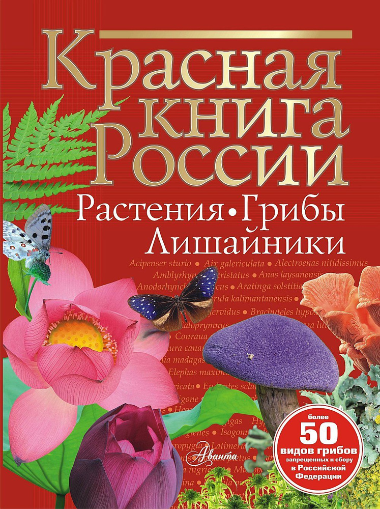 Красная книга России. Растения. Грибы. Лишайники 2024 #1