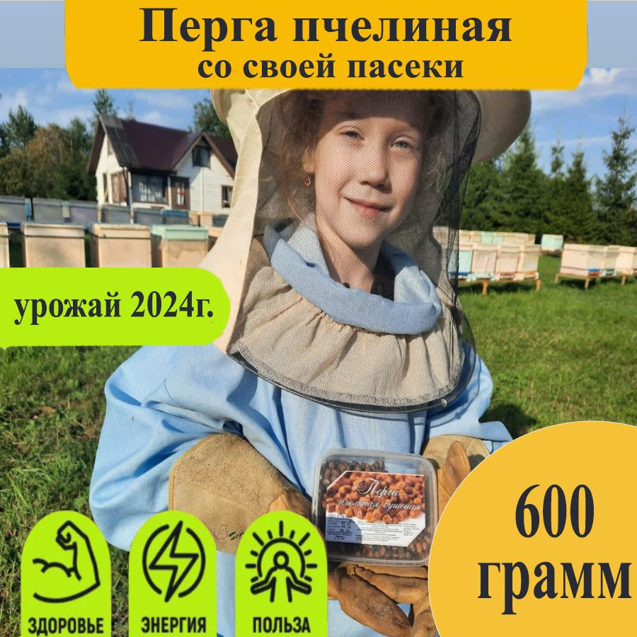 Перга 600 гр / Перга пчелиная / Натуральная #1