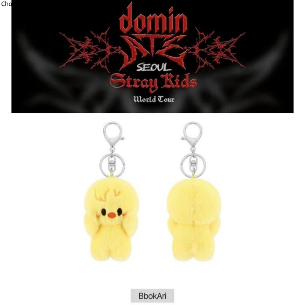 Stray Kids - dominATE SEOUL Официальный MD SKZOO MAGNET PLUSH KEYRING BABY,BbokAri #1