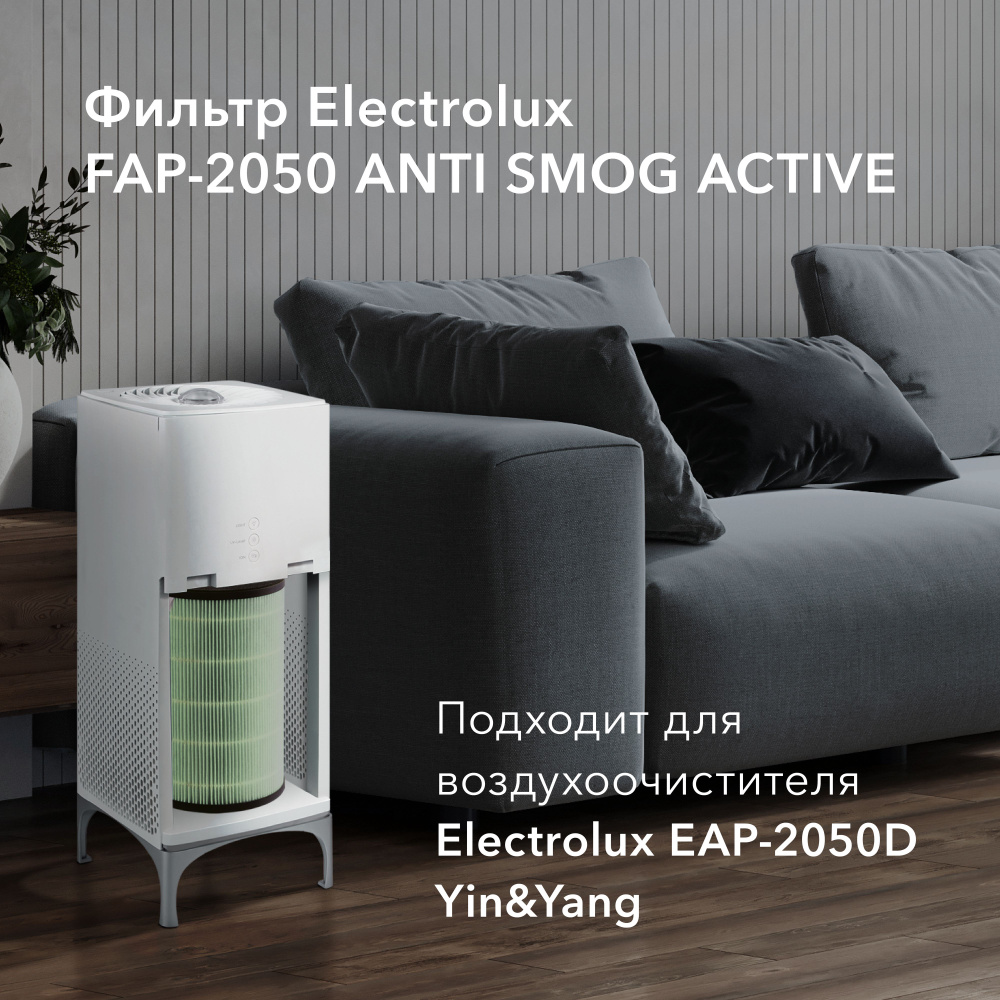 Фильтр Electrolux FAP-2050 ANTI SMOG ACTIVE #1