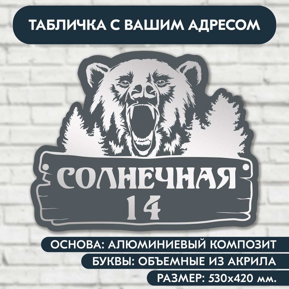 Адресная табличка на дом 530х420 мм. "Медведь", с объёмными буквами из акрила с зеркальным серебром, #1