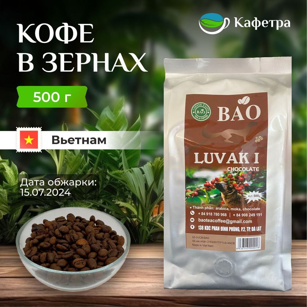 Вьетнамский кофе в зернах Шоколадный Лювак Ай (Chocolate Luvak I) - BAO - 500г  #1