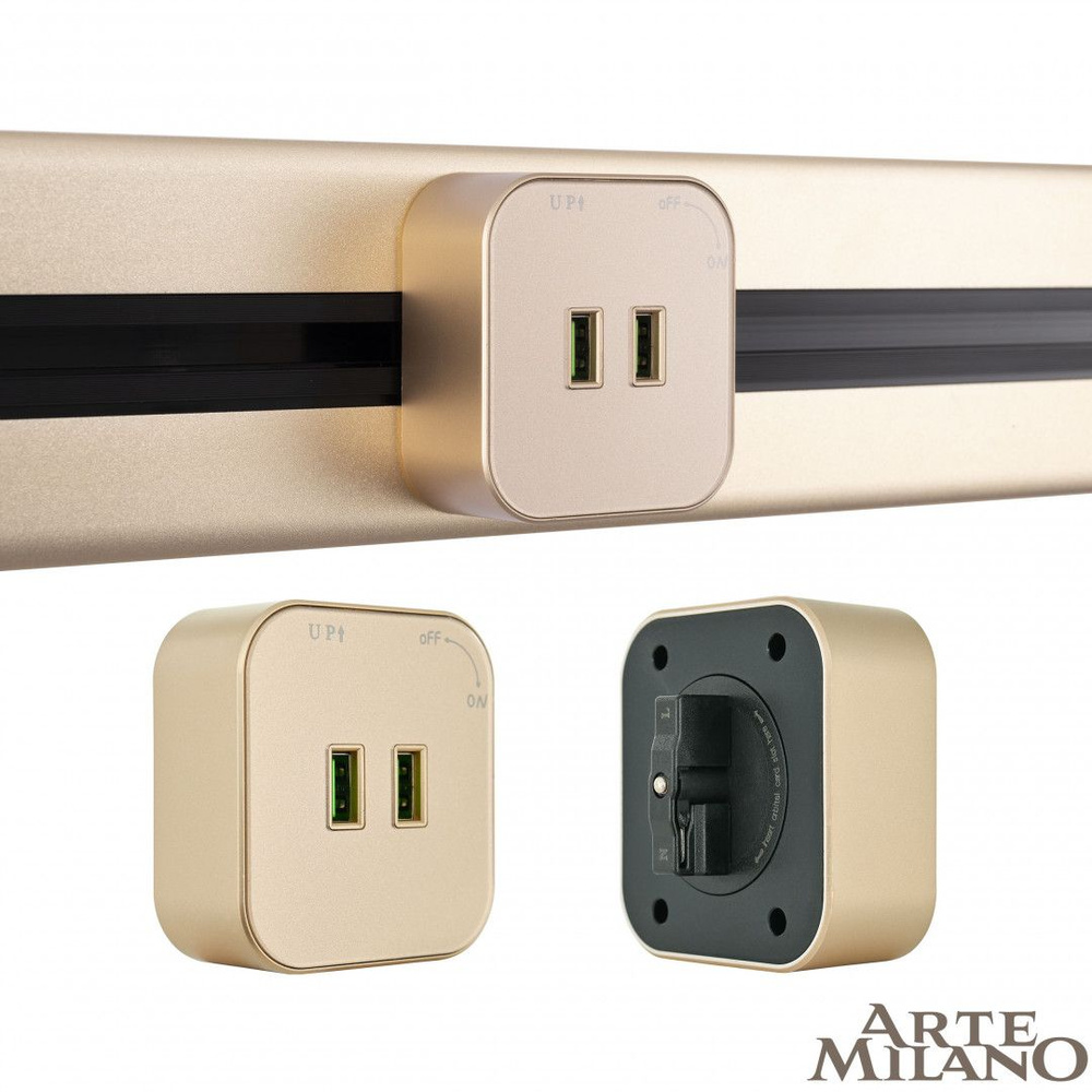 Трековая розетка Arte Milano Am-track-sockets 380022TS/USBx2 Gold #1