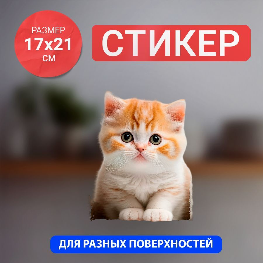 Наклейка рыжий котик #1