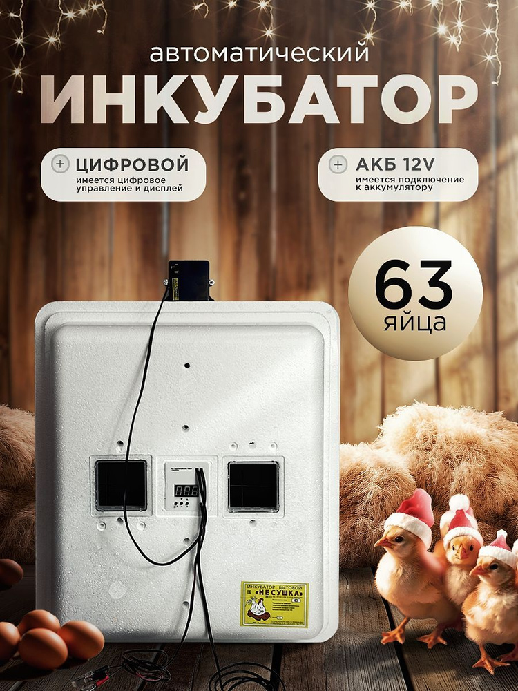 Инкубатор автоматический 63 яйца цифровой 220В/12 #1