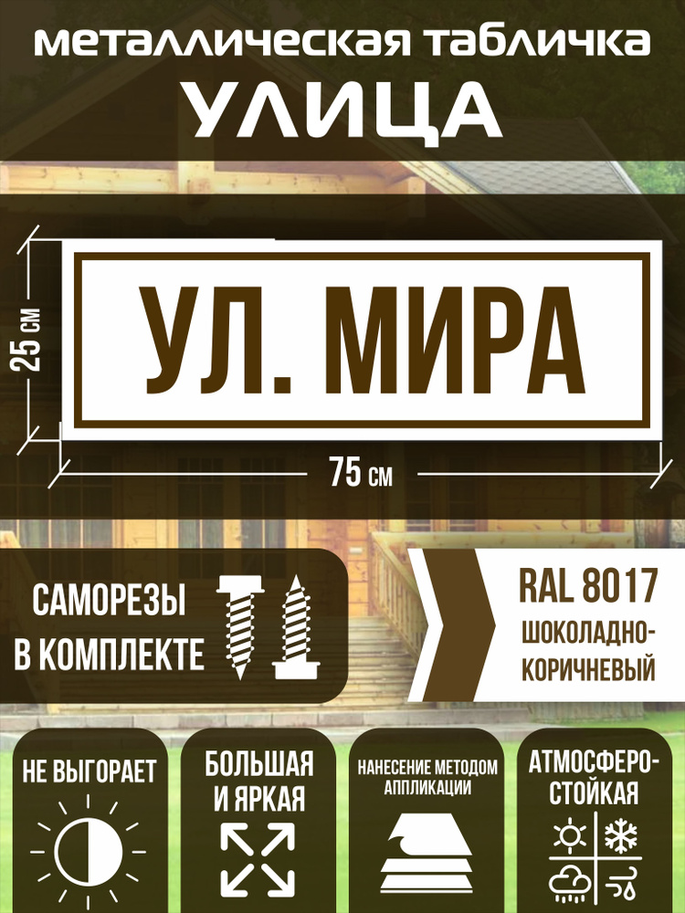 Адресная табличка на дом улица Мира RAL 8017 коричневая #1