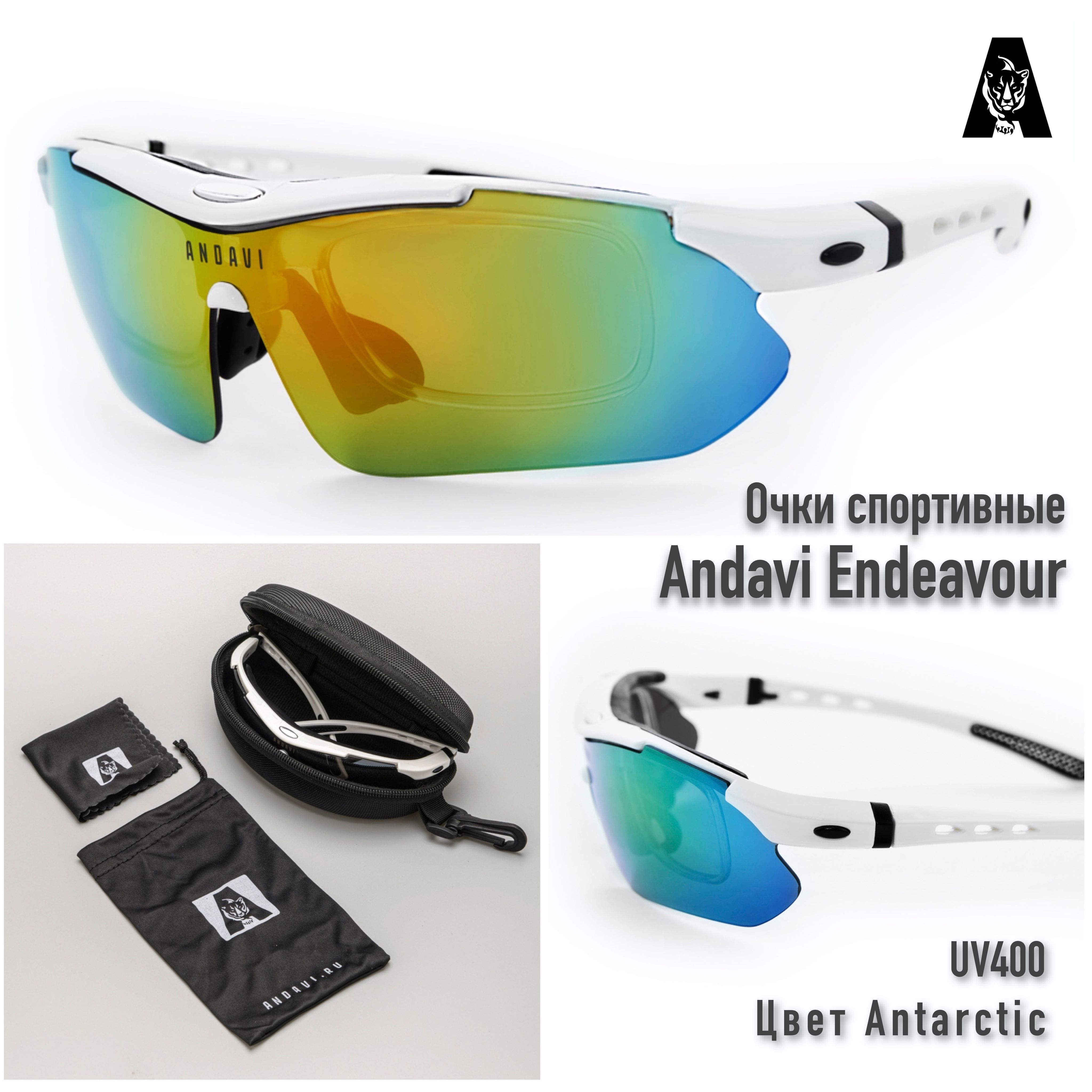 СпортивныеочкиAndaviEndeavour.ЦветAntarctic.