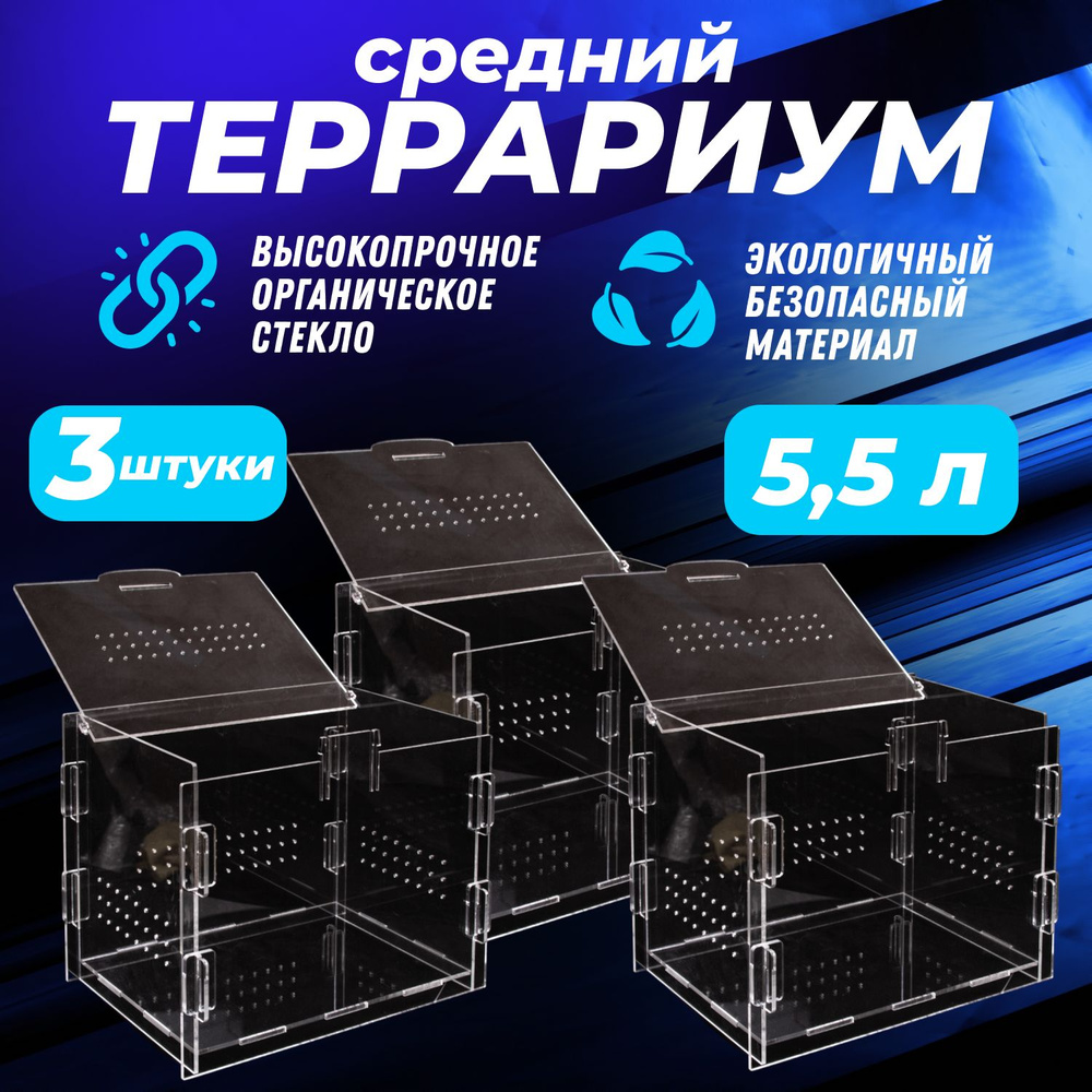 Террариум для рептилий, для черепах, для улиток 3шт Средний . 24*18*17  #1