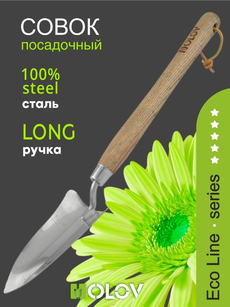 Совок посадочный из нержавеющей стали с удлиненной деревянной ручкой OLOV Эколайн  #1