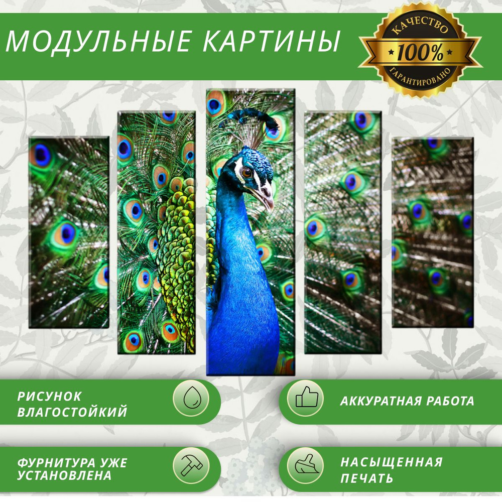 modul007 Картина модульная, 140х80, 5 модулей #1