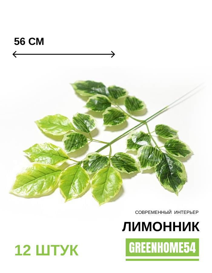 GreenHome54 Ветка, шишка декоративная,12шт #1