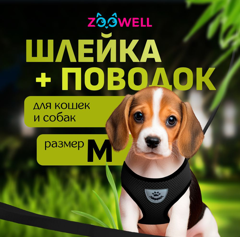 Шлейка и поводок для кошек, маленьких пород собак и хорьков ZOOWELL, набор для прогулок, черный размер #1