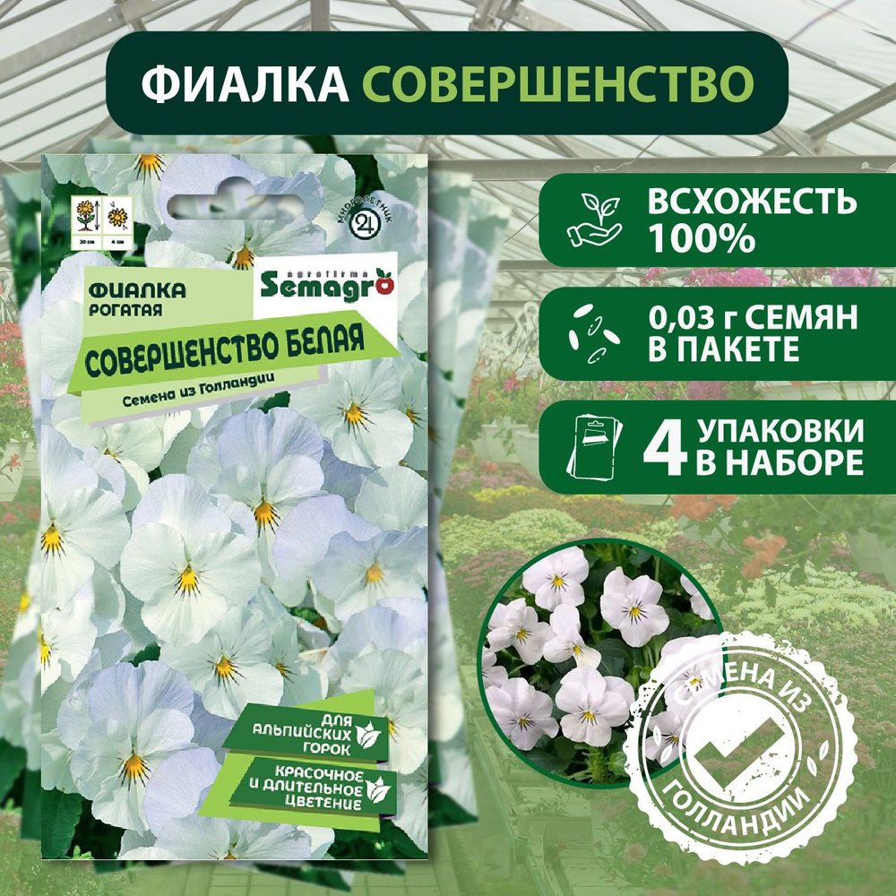 Фиалки Seminis овощи_3_Семена Фиалка рогатая Совершенство Белая , 4 пакета  - купить по выгодным ценам в интернет-магазине OZON (1431435638)