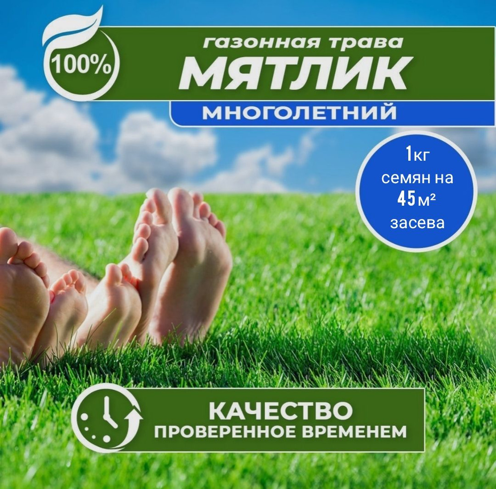 Газон 100% Мятлик луговой многолетний семена газонной травы 1 кг / Кавказское качество / KMV Group  #1