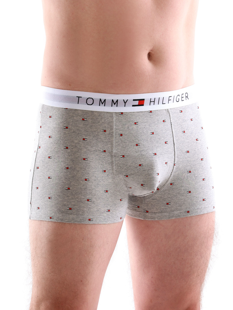 Трусы боксеры Tommy Hilfiger, 1 шт #1