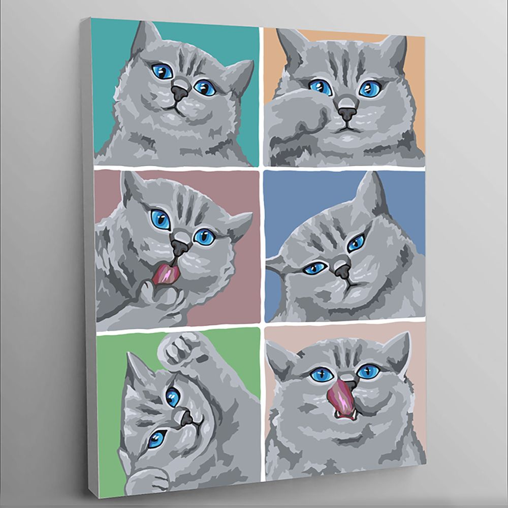 Картина по номерам 40х50 для детей Эмоции белого котика Холст на Подрамнике  #1
