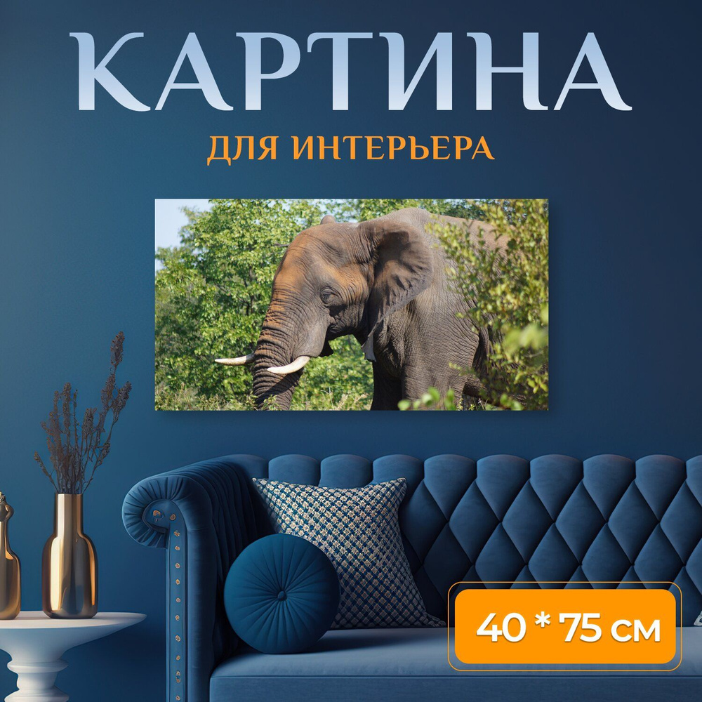 LotsPrints Картина "Слон, африка, крюгер 52", 75  х 40 см #1