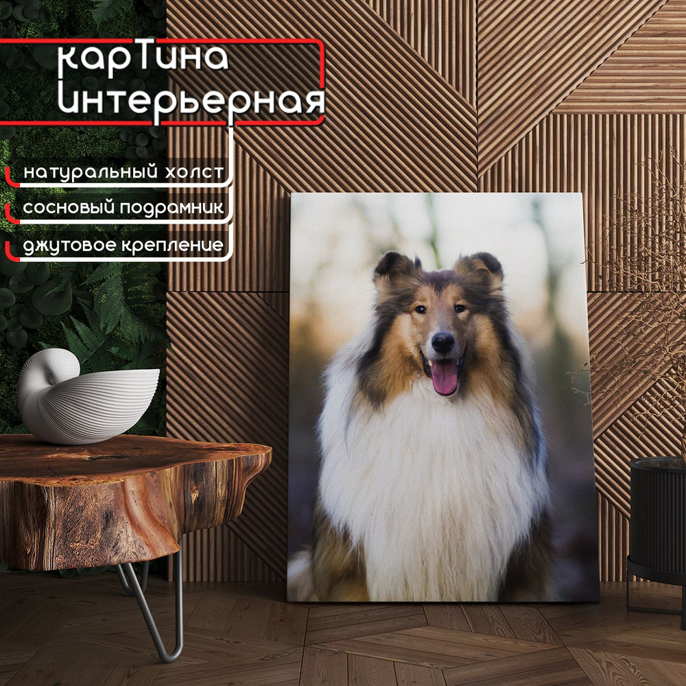 Картина интерьерная на холсте - Колли с язычком (портрет) 75x100 см  #1