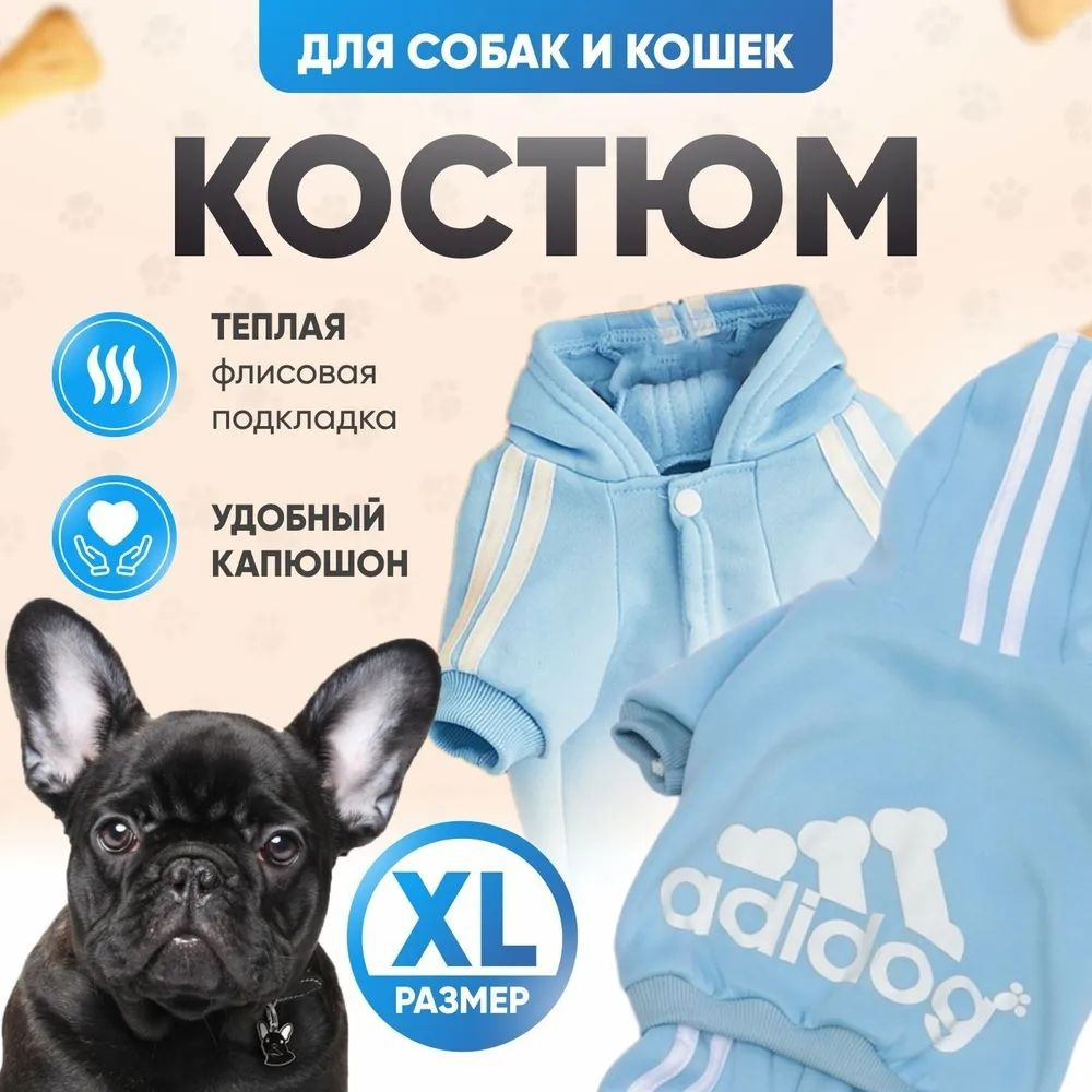 Adidog, Комбинезон для домашних животных, Одежда для собак, Спортивная куртка для собак, Костюм кошки(XL,голубой) #1