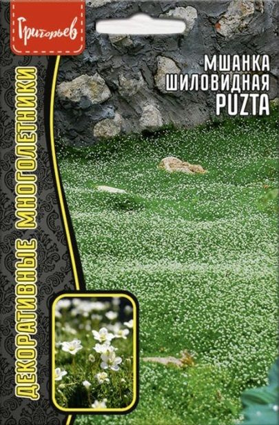 Мшанка шиловидная (ирландский мох) Puzta, семена многолетних растений, 0,01 г  #1