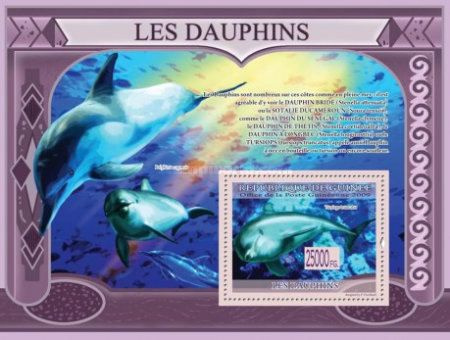 Почтовые марки Гвинея 2009г. "Морской Пехотинец - Дельфины" MNH  #1