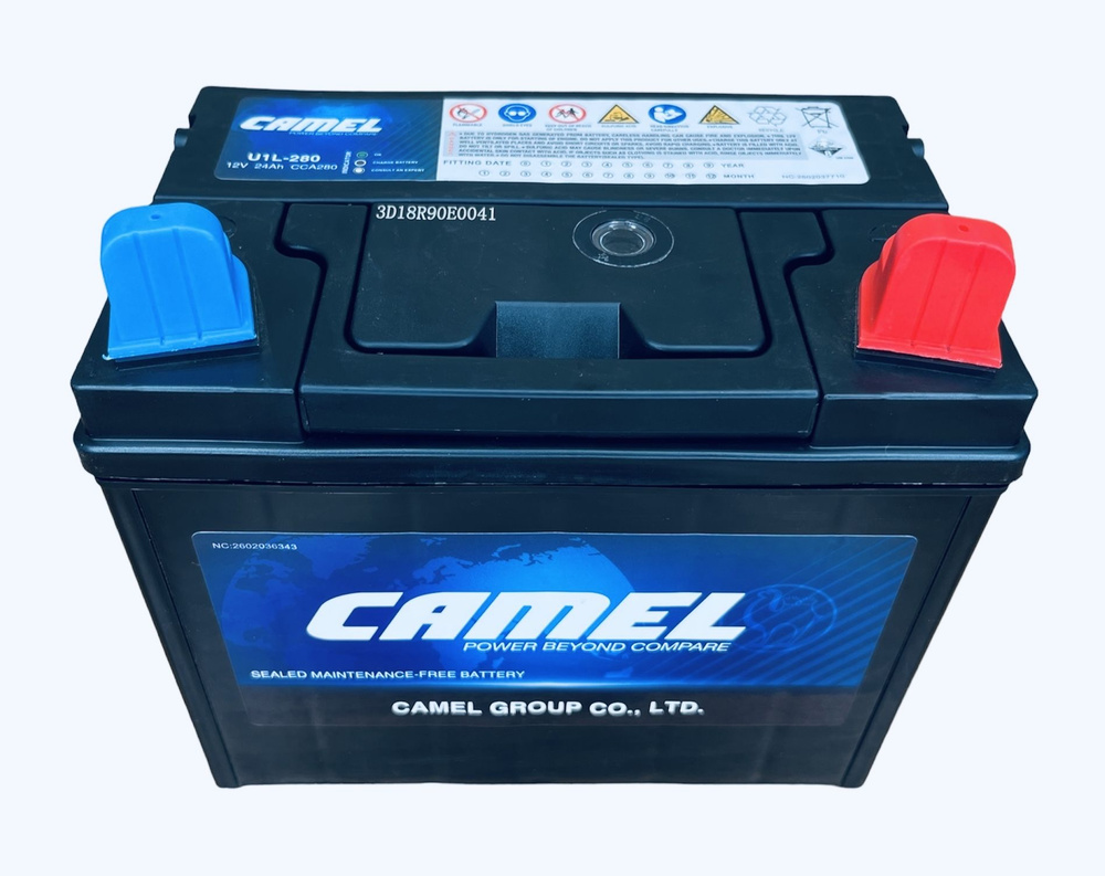 Аккумулятор для газонокосилок и минитракторов CAMEL U1L-280 24 Ач 280 A о.п. 197х130х185  #1