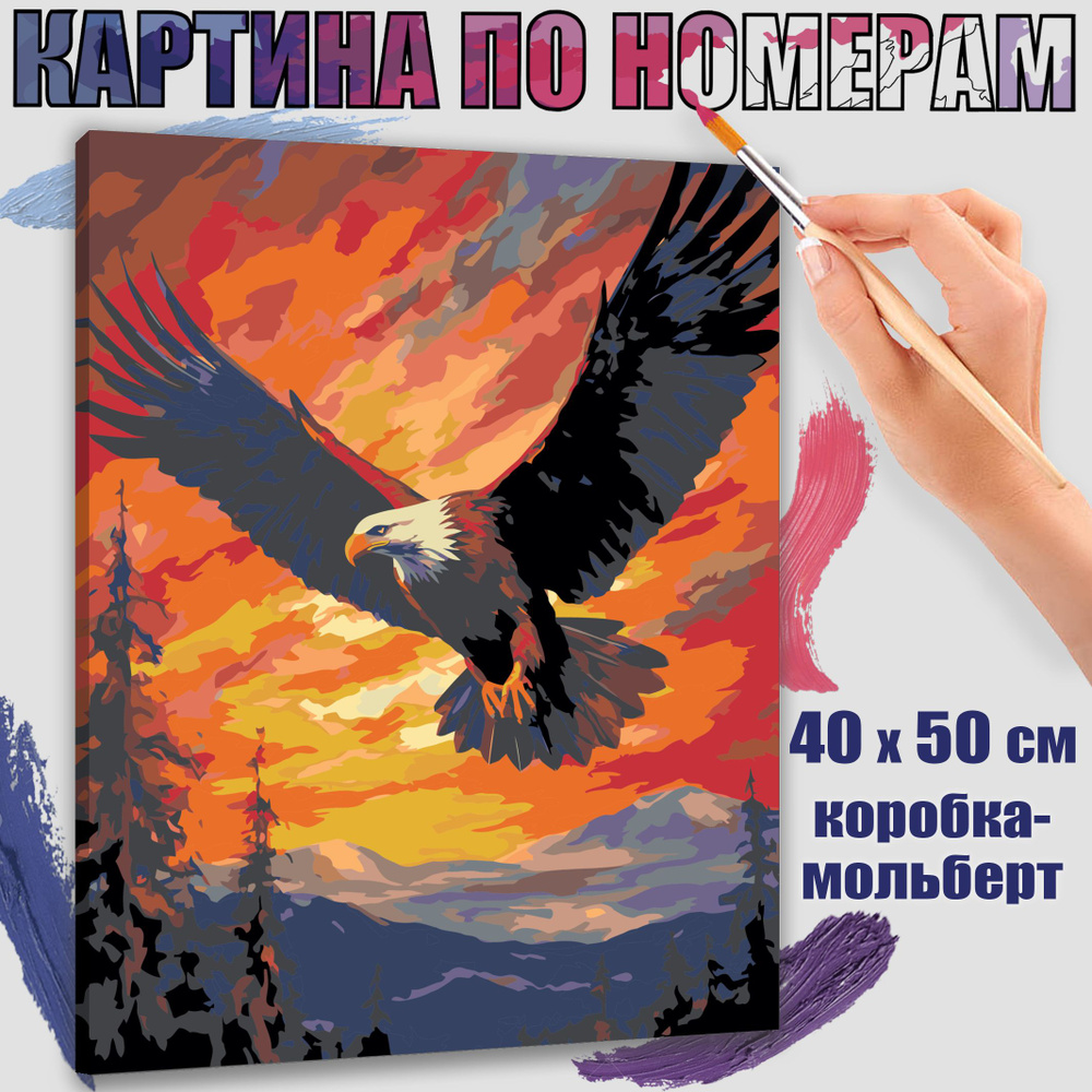 Картина по номерам 40x50 см. Орел #1