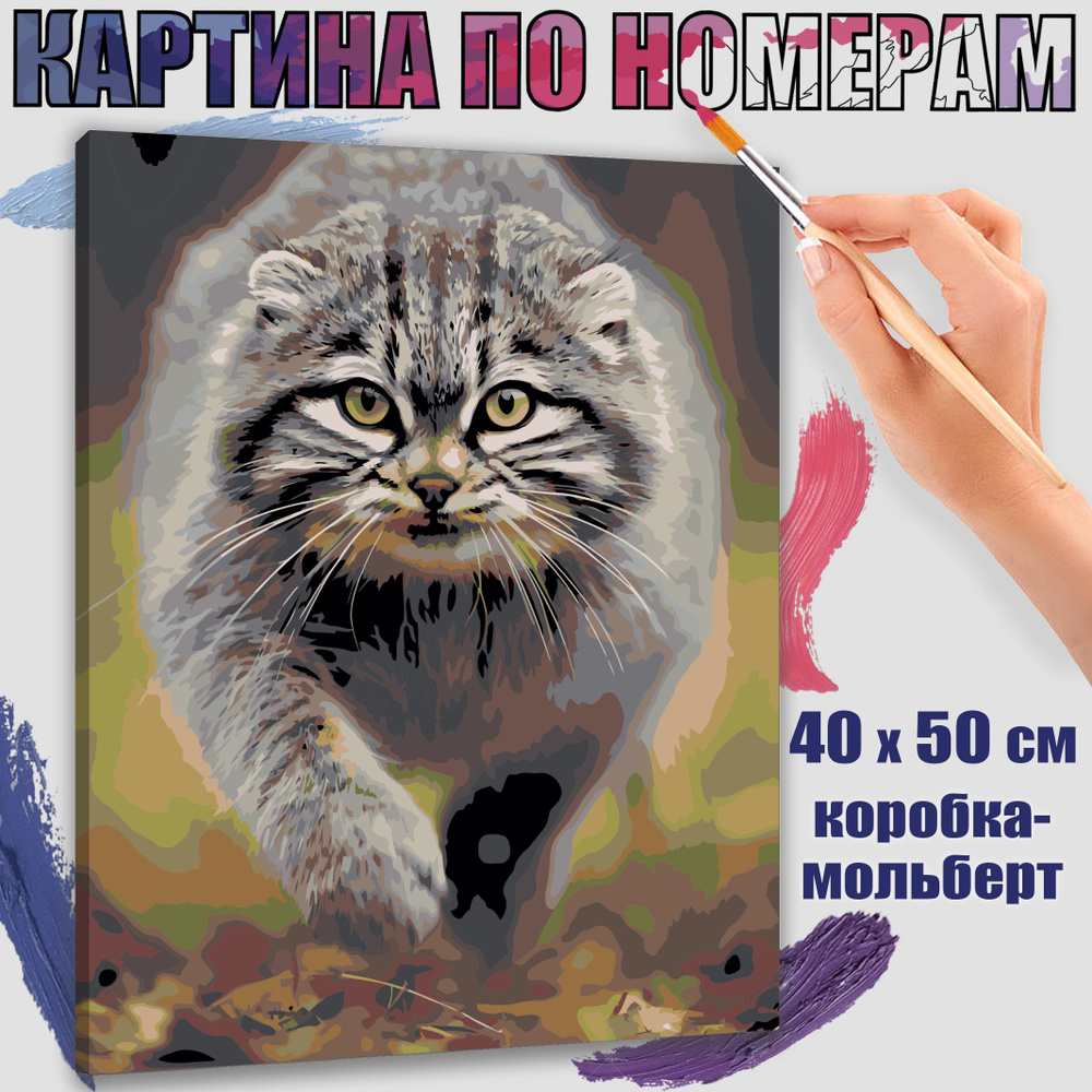 Картина по номерам 40x50 см. Манул: красота дикой природы" #1